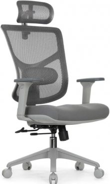Expert-3 Star Office Ergo