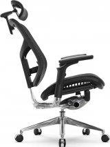 Expert-2 Star Ergo