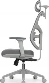 Expert-3 Star Office Ergo