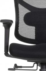 Expert-3 Star Office Ergo
